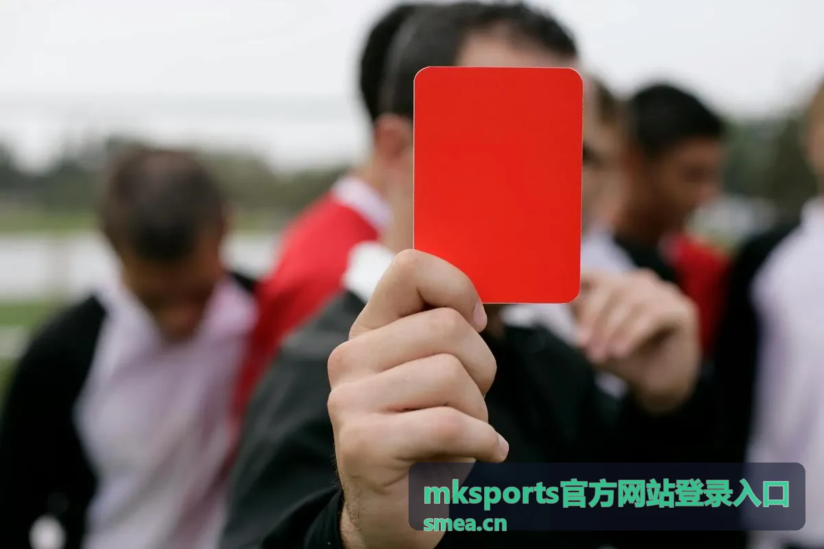 mksports 篮球训练攻略封面