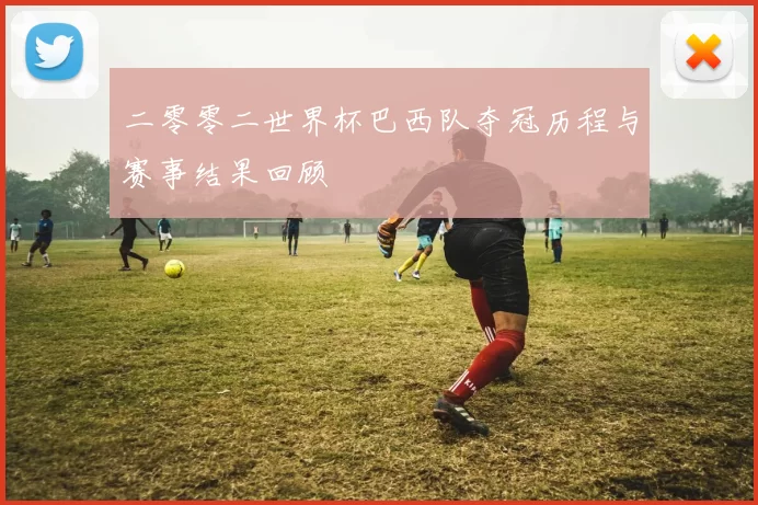 二零零二世界杯巴西队夺冠历程与赛事结果回顾