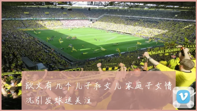 欧文有几个儿子和女儿 家庭子女情况引发球迷关注